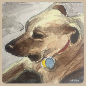 Men's Tee Toby Design