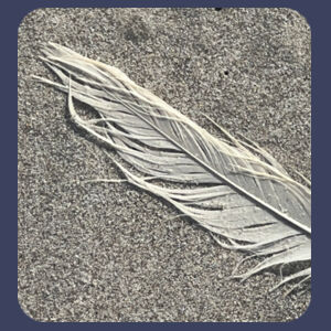 Men's Tee Beach Feather Design