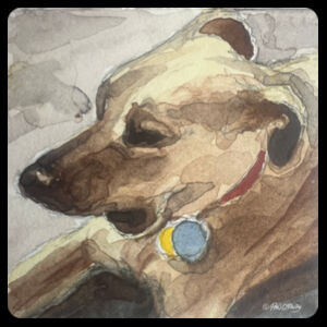 Women's Tee Toby Design