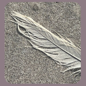 Women's Tee Beach Feather Design